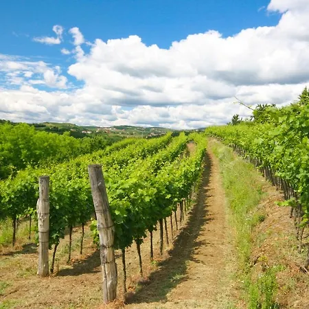 Aria Apartments شقة Kojsko