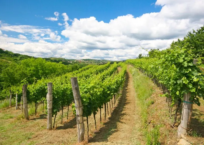 Aria Apartamento Kojsko